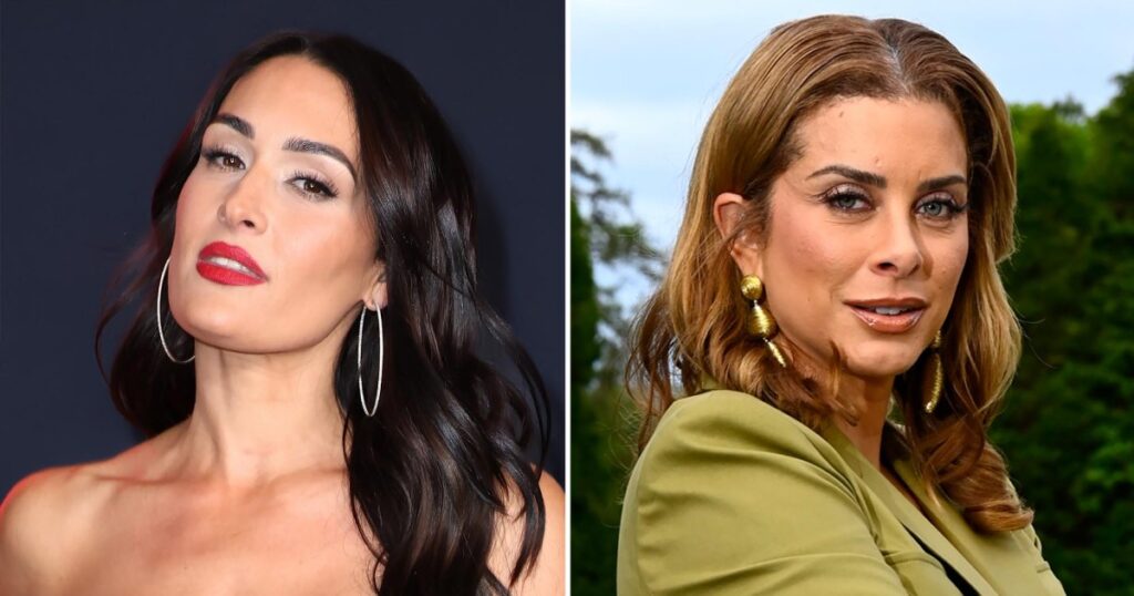 Nikki Bella Wants to Fight 'Traitors' Costar Robyn Dixon in WWE Ring