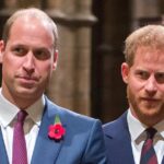 Prince William's Former Aide Discusses 'Sad' Rift With Prince Harry