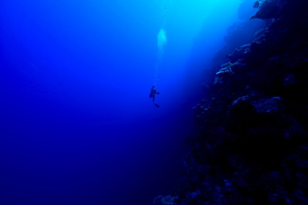 Scuba Diver in the Pacific Ocean