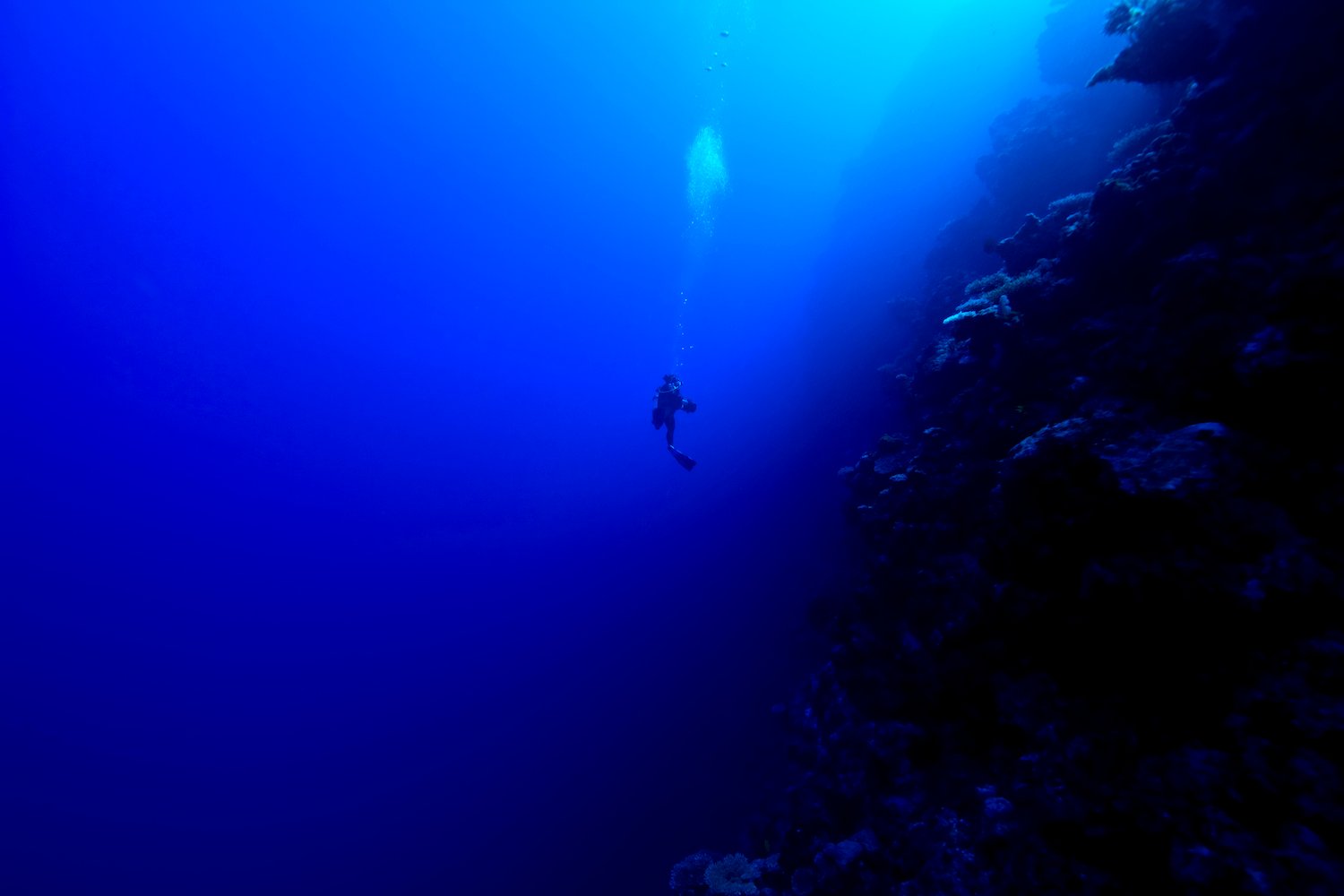 Scuba Diver in the Pacific Ocean