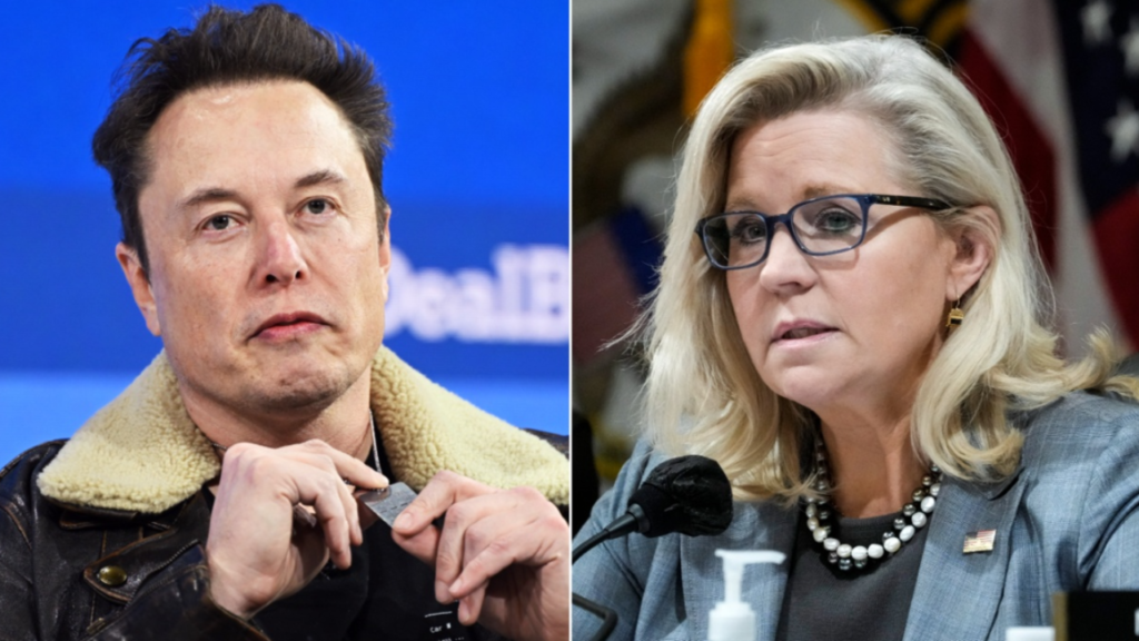 'Damn right': Liz Cheney's past USAID employment faces backlash after lashing out at Elon Musk