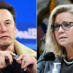 'Damn right': Liz Cheney's past USAID employment faces backlash after lashing out at Elon Musk