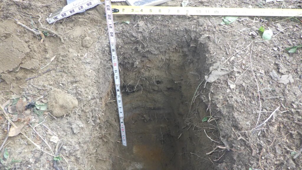 Archeologists in Alaska uncover 1,000-year-old food storage pit