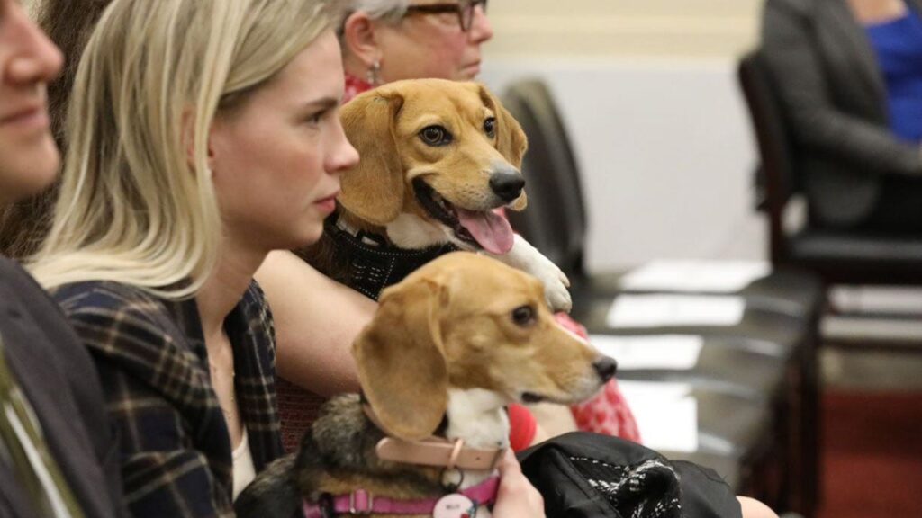 House lawmaker makes fun of Dems, asks for therapy dogs