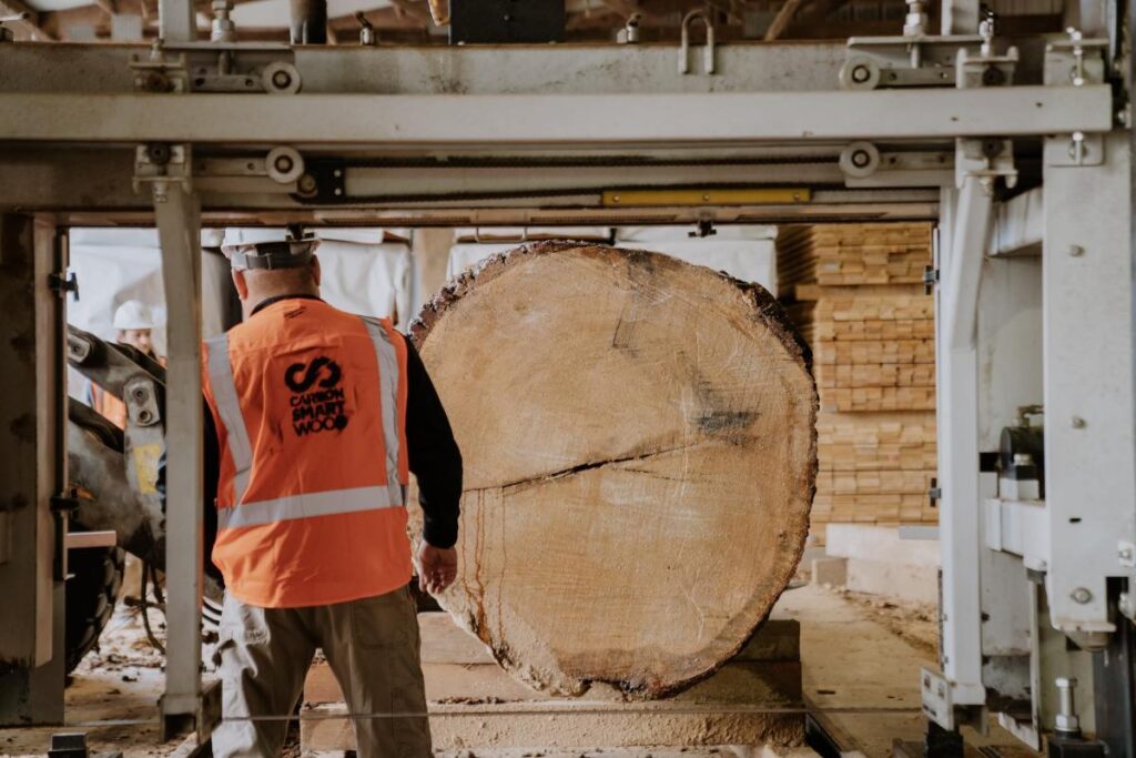 A man oversees milling of a large tree.