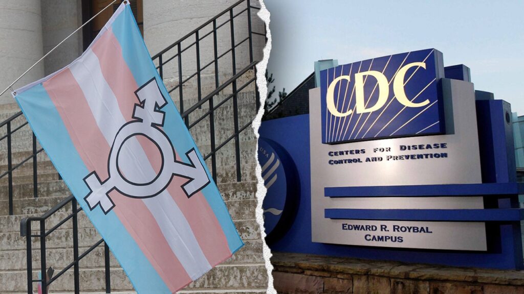 CDC staff told to remove terms like 'Non-binary,' 'They/Them' from future research