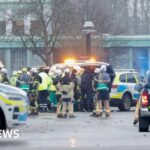 Witnesses recall horror of Sweden's worst school shooting