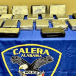 Bricks of cocaine seized during drug bust