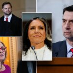 Inside Sen. Tom Cotton's tireless campaign to advance Trump's DNI pick Tulsi Gabbard