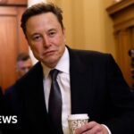 Member of Musk's Doge resigns after reports of racist posts