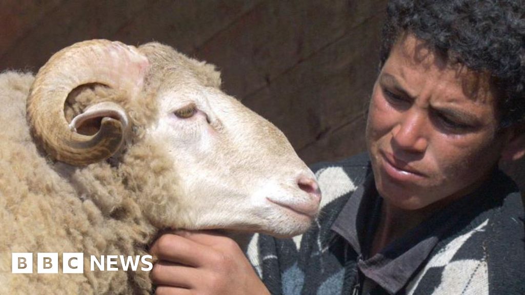 Morocco's King Mohammed VI urges nation to avoid slaughtering sheep during Eid al-Adha