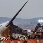 S Korea orders all airports to install bird detection cameras