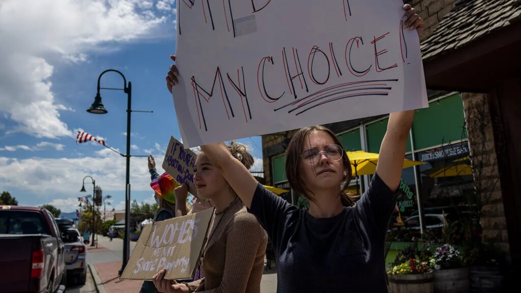 Michigan Dem lawmaker Laurie Pohutsky sterilized herself over Trump presidency