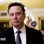 Judge blocks Musk team access to Treasury Department records