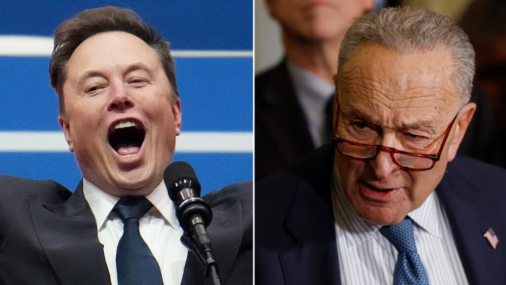 Elon Musk dunks on Sen. Chuck Schumer, declaring 'Hysterical reactions' demonstrate DOGE's importance