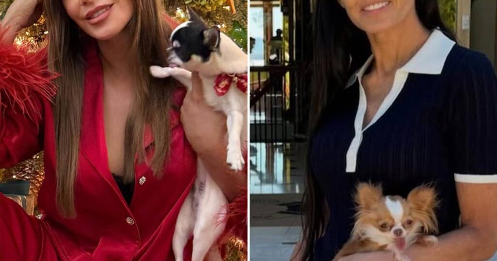 Demi Moore’s Pilaf and Beyond: Hollywood’s Most Pampered Pooches