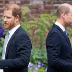 Prince Harry, Prince William’s former palace speaks out on royal feud