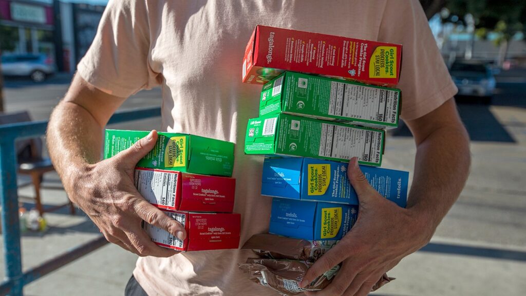 Girl Scouts of the USA about its products: Our 'cookies are safe to consume'