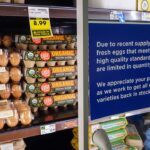 NYC grocery stores selling organic eggs for cheaper than regular dozen