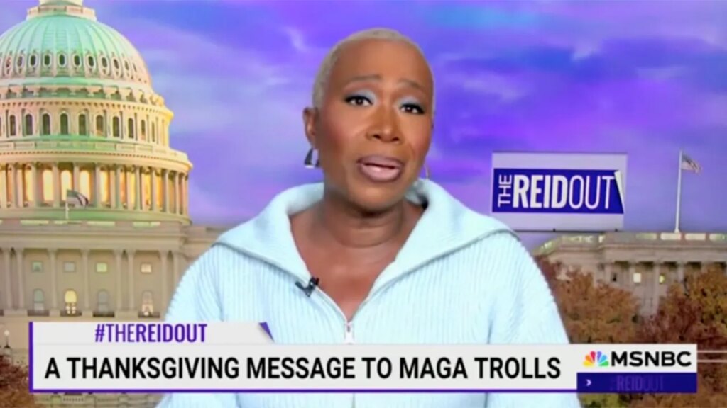 Top moments from Joy Reid's soon-to-be canceled MSNBC show