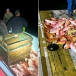 Coast Guard detains Mexican fishermen with over 1,600 pounds of illegally caught fish