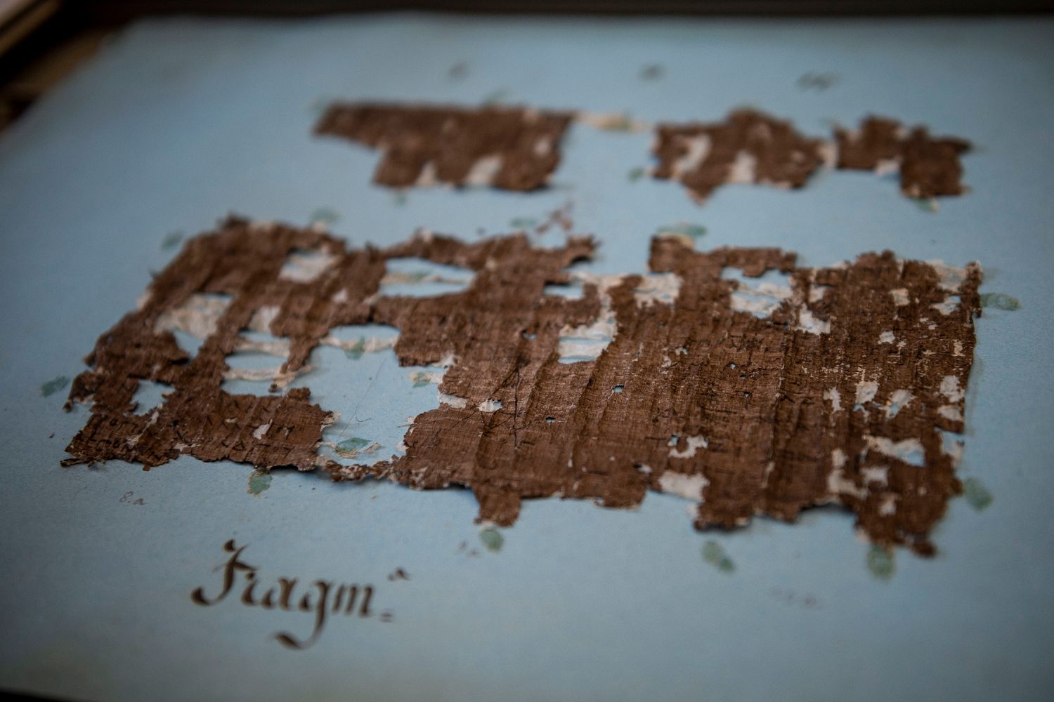 A Herculaneum papyrus fragment at the National Library of Naples.