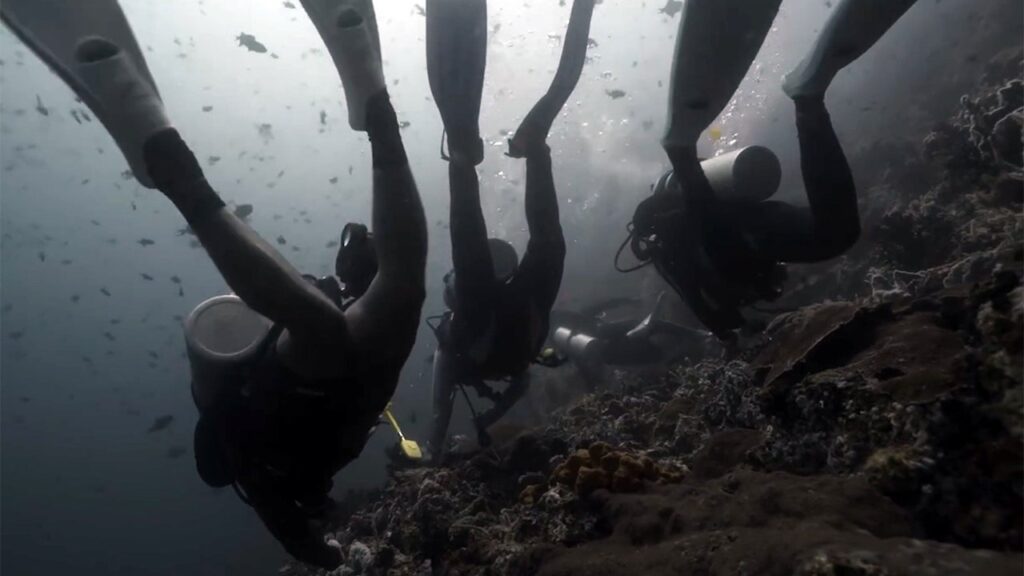 Philippines shark attack leaves 2 tourists dead at dive site