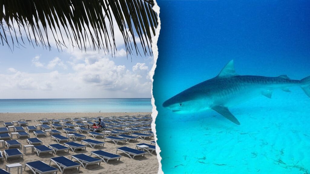 American tourists attacked by shark at luxe Bahamas resort area