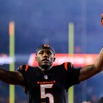 Bengals' Tee Higgins says he'd 'love' to return to Cincinnati ahead of free agency