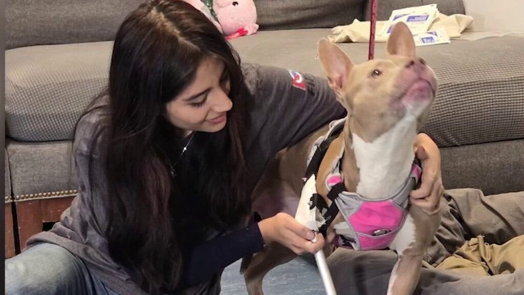 NY shelter dog gets new lease on life with teen's 3D printed prosthetic leg