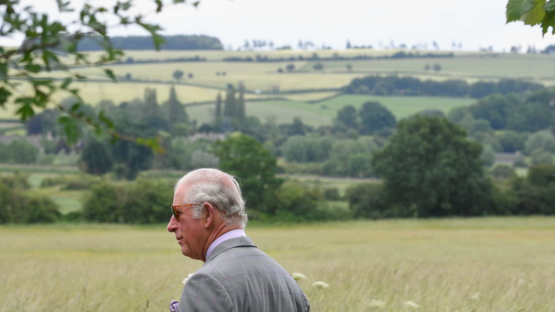 The sustainable farm beloved by King Charles: FarmED, in the Cotswolds