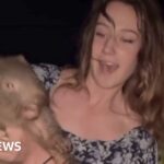 'For holding a wombat, thousands threatened my life'