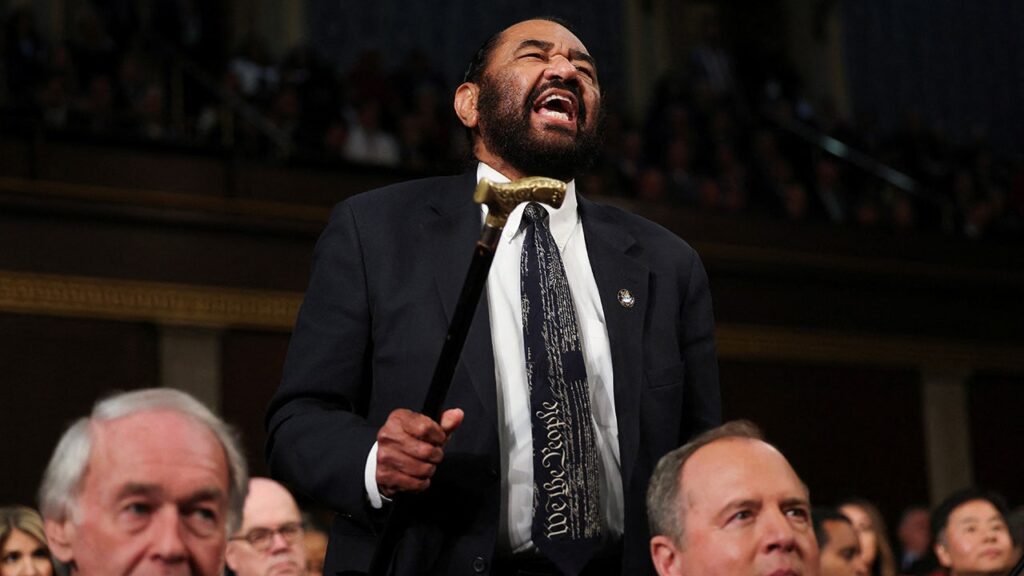 Democrat removed from House chamber after disrupting Trump's speech to Congress: 'Take your seat'