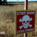 Poland and Baltics to quit landmine treaty over Russia fears