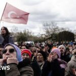 Turkey arrests dozens for online posts after Erdogan rival held