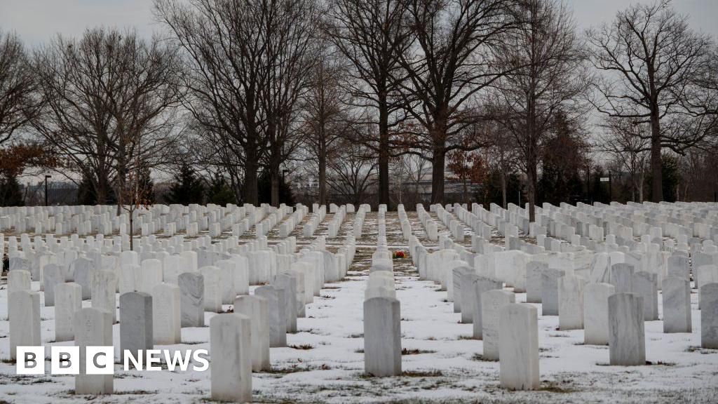 Arlington Cemetery strips content on black and female veterans from website