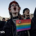 Hungary bans LGBT Pride marches sparking protests