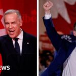 Who could be Canada's next prime minister and how will they be chosen?