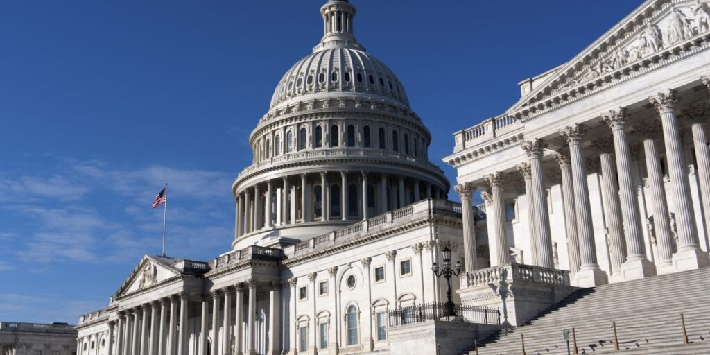 Democrats to bring fired federal workers to Trump congressional speech focused on ‘renewal of the American dream’