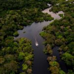 Amazon rainforest cleared for upcoming climate summit