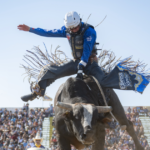 Attend the Desert Rodeo for a True Country Experience