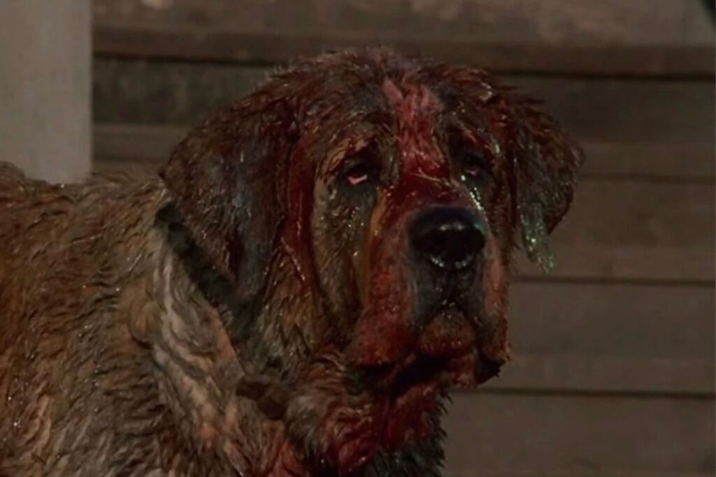 Cujo 1983