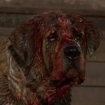 Cujo 1983