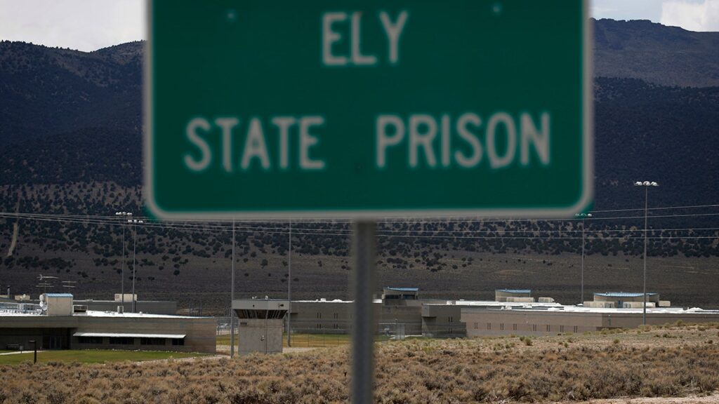 Twenty charged with gang-related crimes over deadly Nevada prison brawl