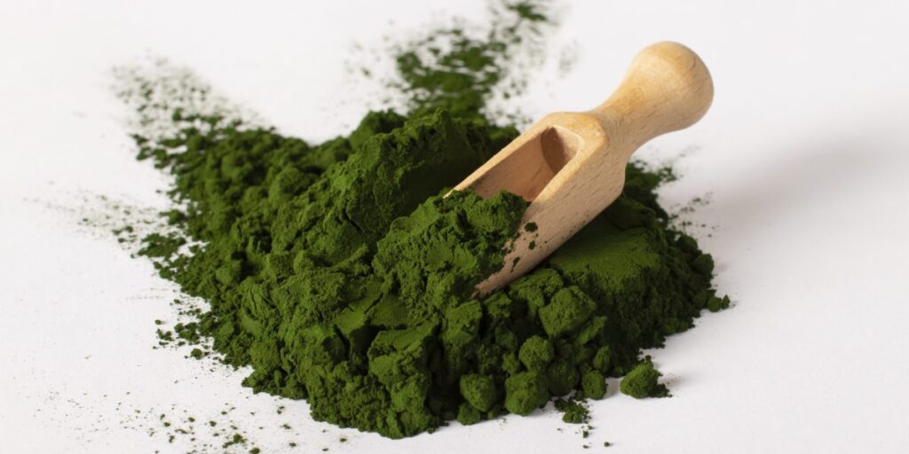 Is this dark green algae the hot new superfood?