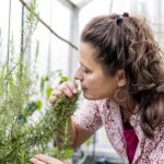 4 health benefits of rosemary, including a hidden compound scientists could potentially use to fight Alzheimer’s