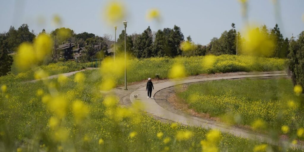 America’s happiest city: over a thousand acres of parks, average temperatures in the 60s, and a bustling economy