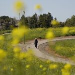 America’s happiest city: over a thousand acres of parks, average temperatures in the 60s, and a bustling economy