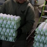 After repeated claims of taking over Greenland, the Trump administration is now asking Denmark for extra eggs amid shortage