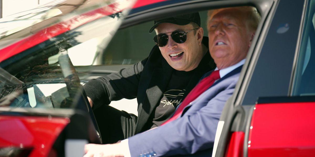 Tesla investors at a loss as Elon Musk drags down stock price: ‘This time it feels different’